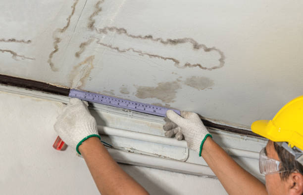 Reliable Water Damage contractor in Hasbrouck Heights, NJ by Water Damage Irwin